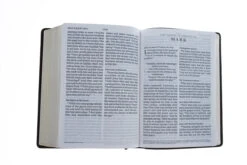 ESV Giant Print Bible (Trutone, Deep Brown) -Books Shop 204 0194 4