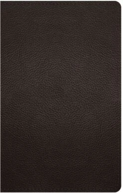 ESV Large Print Personal Size Bible -Books Shop 204 0200 0