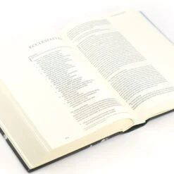 ESV Large Print Journaling Bible – Salzburg Theme -Books Shop 204 0213 5