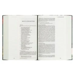 ESV Large Print Journaling Bible – Hollis Theme -Books Shop 204 0215 4