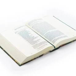 ESV Large Print Journaling Bible – Hollis Theme -Books Shop 204 0215 5