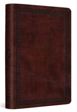 ESV Compact Bible (TruTone, Mahogany, Border Design)