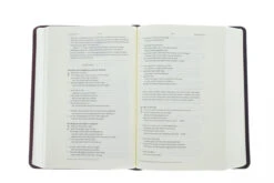 ESV Story Of Redemption Bible: Burgundy/Red, TruTone, Timeless -Books Shop 204 0443 3