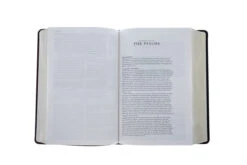 ESV Gospel Transformation Study Bible TruTone, Burgundy/Red, Imitation Leather -Books Shop 204 0461 2