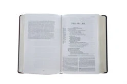 ESV Gospel Transformation Study Bible TruTone, Burgundy/Red, Imitation Leather -Books Shop 204 0461 3