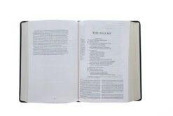 ESV Gospel Transformation Study Bible-Deep Brown TruTone 11 ESV Gospel Transformation Study Bible-Deep Brown TruTone -Books Shop 204 0462 4