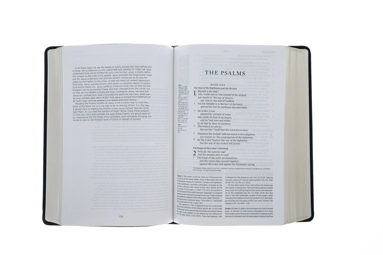 ESV Gospel Transformation Study Bible-Deep Brown TruTone 6 ESV Gospel Transformation Study Bible-Deep Brown TruTone - Image 4