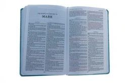 KJV, Deluxe Gift Bible, Blue Imitation Leather -Books Shop 206 0034 4