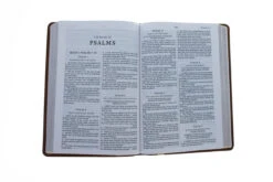 Kjv Thinline Bible, Large Print, Tan Leathersoft 11 Kjv Thinline Bible, Large Print, Tan Leathersoft -Books Shop 206 0360 3