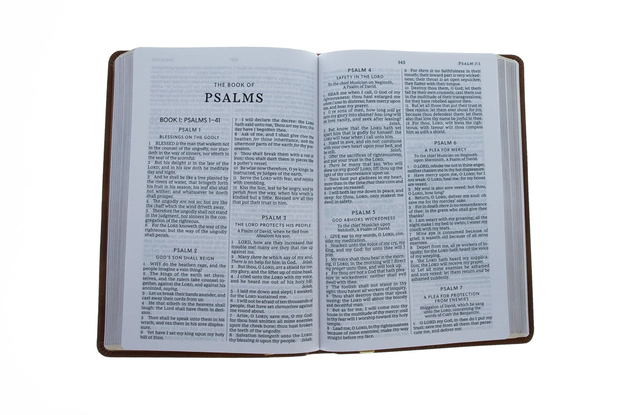 Kjv Thinline Bible, Large Print, Tan Leathersoft 6 Kjv Thinline Bible, Large Print, Tan Leathersoft - Image 4