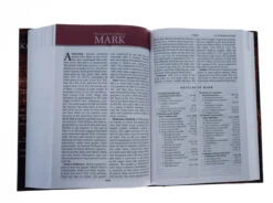 KJV Study Bible Second Edition-Hardcover 7 KJV Study Bible Second Edition-Hardcover -Books Shop 206 0385 3