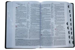 KJV Study Bible Second Edition-Black Bonded Leather Indexed -Books Shop 206 0389 3 1