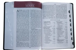 KJV Study Bible Second Edition-Black Bonded Leather Indexed -Books Shop 206 0389 4 2