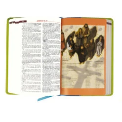 KJV Kids Study Bible Green/Blue Imitation Leather -Books Shop 206 0621 4
