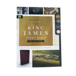 KJV Study Bible, Imitation Leather, Burgundy, Indexed -Books Shop 206 0712 1