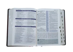 KJV Study Bible, Imitation Leather, Burgundy, Indexed -Books Shop 206 0712 2