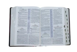 KJV Study Bible, Imitation Leather, Burgundy, Indexed -Books Shop 206 0712 3