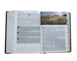 KJV Study Bible, Imitation Leather, Burgundy, Indexed -Books Shop 206 0712 4