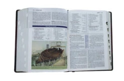 KJV Study Bible, Imitation Leather, Burgundy, Indexed -Books Shop 206 0712 5