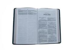 KJV, Thinline Bible Youth Edition, Leathersoft, Blue -Books Shop 206 0818 3 1