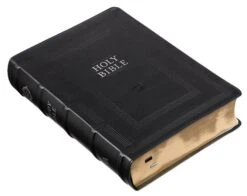 KJV Study Bible, Standard Print Faux Leather Flexcover -Books Shop 206 0832 2