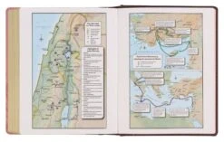 KJV Notetaking Bible Twotone Pink/Brown Floral Faux Leathe -Books Shop 206 0841 4