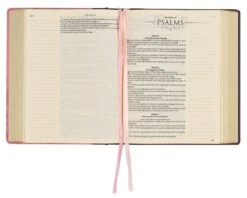 KJV Notetaking Bible Twotone Pink/Brown Floral Faux Leathe -Books Shop 206 0841 5