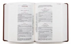 KJV Journal Reference Edition Bible – Brown -Books Shop 206 0870 2 1