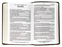 KJV Personal Size Large Print Genuine Leather – Brown -Books Shop 206 0874 2