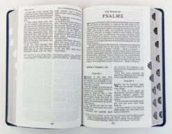 KJV Personal Size Reference Bible, Verse Art Cover – Blue -Books Shop 206 0887 1