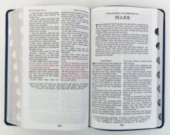 KJV Personal Size Reference Bible, Verse Art Cover – Blue -Books Shop 206 0887 2