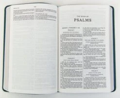 KJV Thinline Youth Edition Bible, Verse Art Cover – Teal -Books Shop 206 0890 1