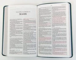 KJV Thinline Youth Edition Bible, Verse Art Cover – Teal -Books Shop 206 0890 2