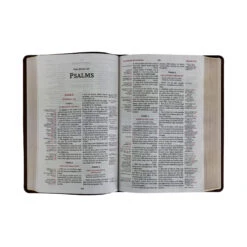 KJV Thompson Chain-Reference Bible – Brown -Books Shop 206 0945 3 1