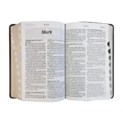 KJV Personal Size Giant Print Bible, Filament Enabled Edition -Books Shop 206 0963 4