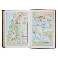 KJV Art Nouveau Framed Saddle Tan Faux Leather Bible – Thumb Index -Books Shop 206 1004 5