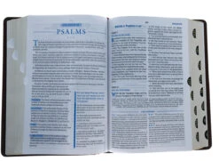 KJV, Charles F. Stanley Life Principles Bible, 2nd Edition, Genuine 10 KJV, Charles F. Stanley Life Principles Bible, 2nd Edition, Genuine -Books Shop 206 1047 2 1