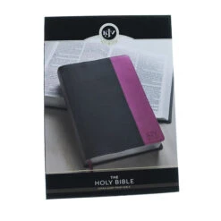 KJV Bible Super Giant Print Grey And Pink