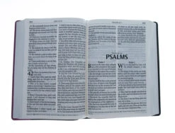 KJV Bible Super Giant Print Grey And Pink -Books Shop 206 1075 3 1