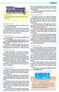 KJV One Big Story Bible, Brown Lion Leathertouch -One Big Story -Books Shop 206 2090 2