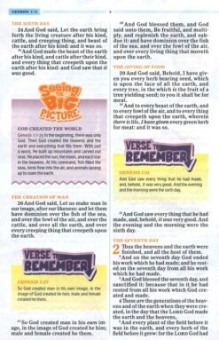 KJV One Big Story Bible, Brown Lion Leathertouch -One Big Story -Books Shop 206 2090 3