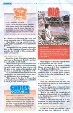 KJV One Big Story Bible, Brown Lion Leathertouch -One Big Story -Books Shop 206 2090 4