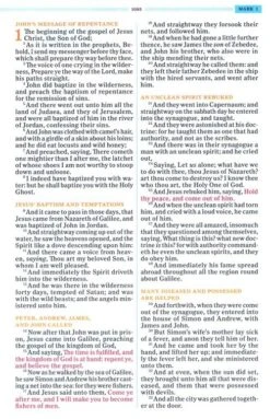 KJV One Big Story Bible, Brown Lion Leathertouch -One Big Story -Books Shop 206 2090 5