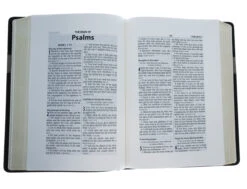 Books Shop -Books Shop 206 2104 2