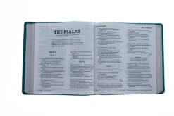 NASB 1995 XL Bible, Comfort Print–Soft Leather-look, Teal -Books Shop 208 0058 3