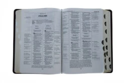 NASB Thompson Chain-Reference Bible – Brown -Books Shop 208 0075 3