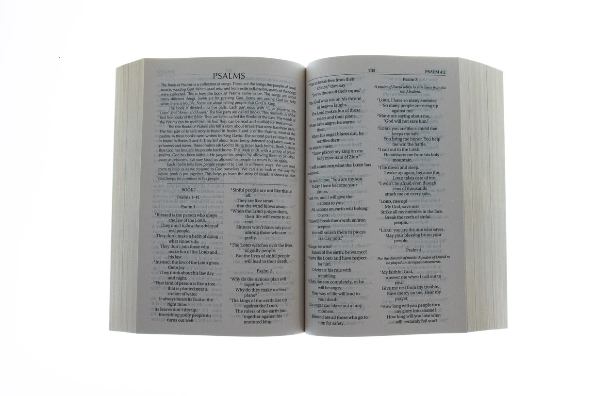 NIrV Free On The Inside Bible -Large Print, Paperback 4 NIrV Free On The Inside Bible -Large Print, Paperback - Image 2