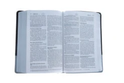 NIV Couples Devotional Bible-Chocolate/Silver Duo-Tone -Books Shop 210 0160 6