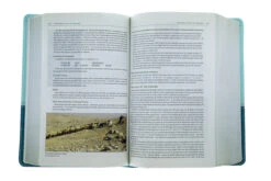 NIV Zondervan Study Bible, Personal Size Leathersoft, Light Blue/Turquoise -Books Shop 210 0167 3