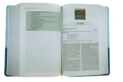 NIV Zondervan Study Bible, Personal Size Leathersoft, Light Blue/Turquoise -Books Shop 210 0167 4